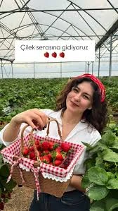 Aliağa Çilek Dünyası - Fotoğraf 1