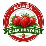 Aliağa Çilek Dünyası - Fotoğraf 3
